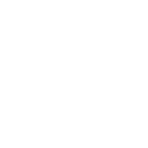 standard téléphonique IP